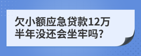 欠小额应急贷款12万半年没还会坐牢吗?