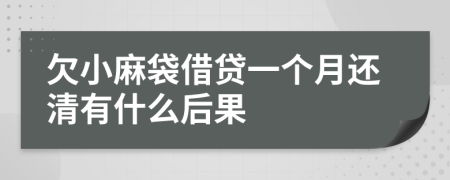 欠小麻袋借贷一个月还清有什么后果
