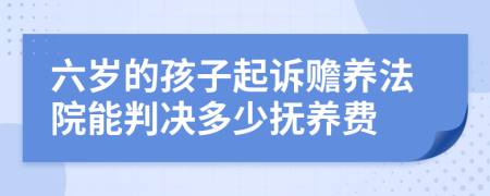 六岁的孩子起诉赡养法院能判决多少抚养费