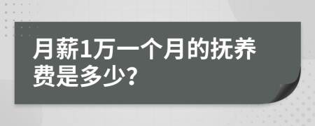 月薪1万一个月的抚养费是多少？