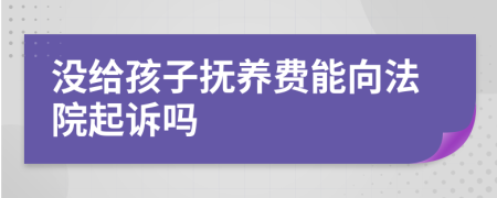 没给孩子抚养费能向法院起诉吗