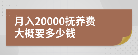 月入20000抚养费大概要多少钱