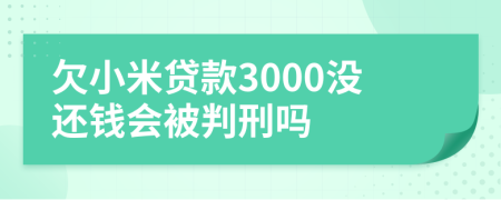 欠小米贷款3000没还钱会被判刑吗