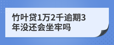 竹叶贷1万2千逾期3年没还会坐牢吗