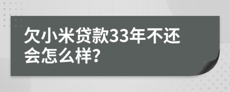 欠小米贷款33年不还会怎么样？