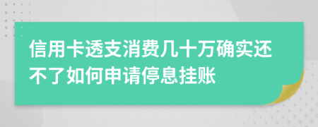 信用卡透支消费几十万确实还不了如何申请停息挂账
