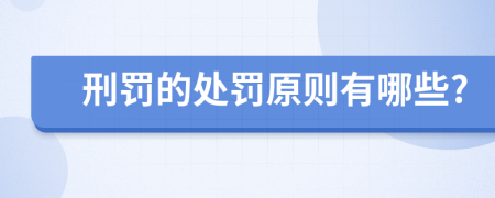 刑罚的处罚原则有哪些?