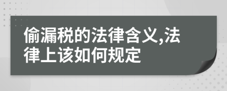 偷漏税的法律含义,法律上该如何规定