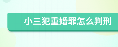 小三犯重婚罪怎么判刑