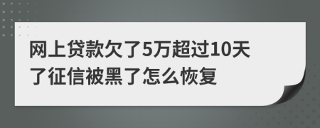 网上贷款欠了5万超过10天了征信被黑了怎么恢复
