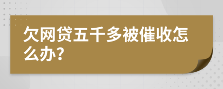 欠网贷五千多被催收怎么办？