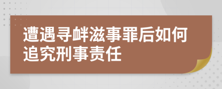 遭遇寻衅滋事罪后如何追究刑事责任