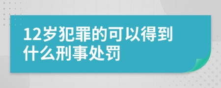 12岁犯罪的可以得到什么刑事处罚