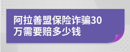 阿拉善盟保险诈骗30万需要赔多少钱