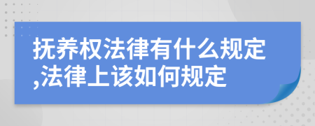 抚养权法律有什么规定,法律上该如何规定