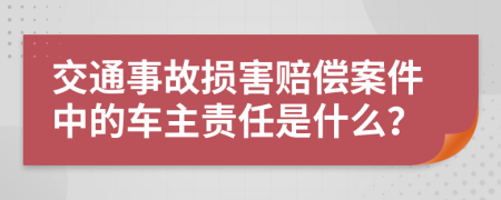 交通事故损害赔偿案件中的车主责任是什么？