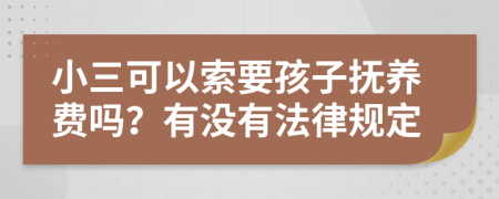 小三可以索要孩子抚养费吗？有没有法律规定