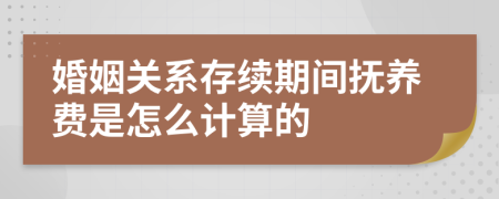 婚姻关系存续期间抚养费是怎么计算的