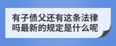 有子债父还有这条法律吗最新的规定是什么呢