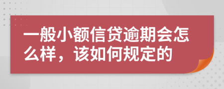 一般小额信贷逾期会怎么样，该如何规定的