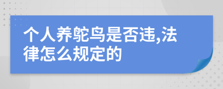 个人养鸵鸟是否违,法律怎么规定的