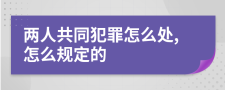 两人共同犯罪怎么处,怎么规定的