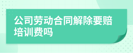 公司劳动合同解除要赔培训费吗