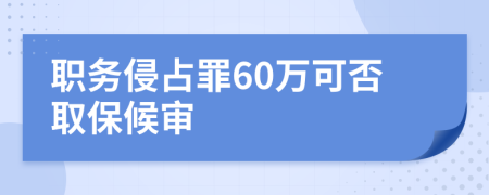 职务侵占罪60万可否取保候审