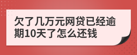 欠了几万元网贷已经逾期10天了怎么还钱