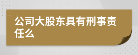 公司大股东具有刑事责任么