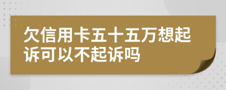 欠信用卡五十五万想起诉可以不起诉吗