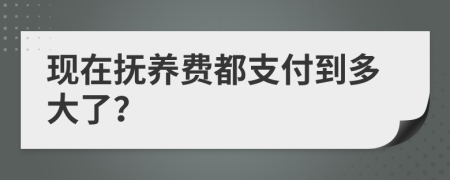 现在抚养费都支付到多大了？