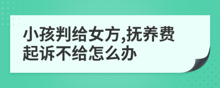 小孩判给女方,抚养费起诉不给怎么办
