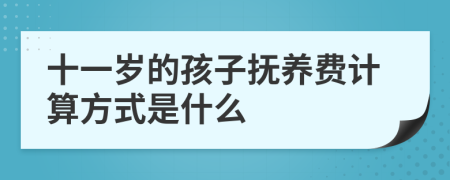十一岁的孩子抚养费计算方式是什么