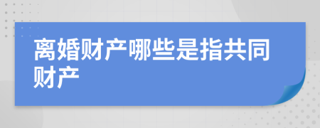 离婚财产哪些是指共同财产