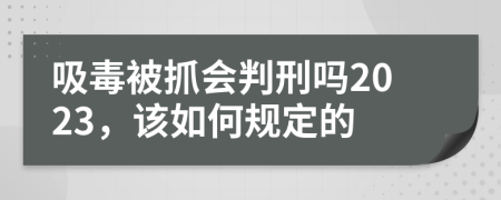 吸毒被抓会判刑吗2023，该如何规定的