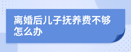 离婚后儿子抚养费不够怎么办
