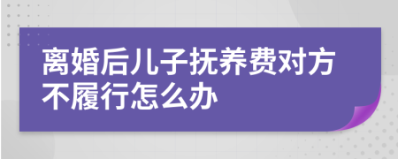 离婚后儿子抚养费对方不履行怎么办