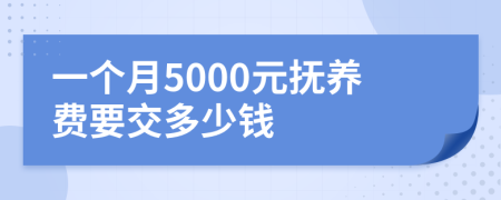 一个月5000元抚养费要交多少钱