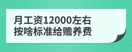 月工资12000左右按啥标准给赡养费