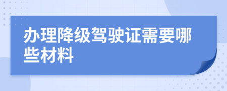 办理降级驾驶证需要哪些材料