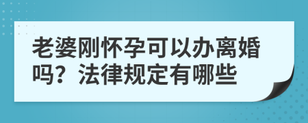 老婆刚怀孕可以办离婚吗？法律规定有哪些