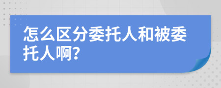 怎么区分委托人和被委托人啊？