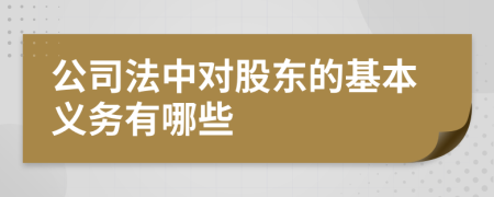 公司法中对股东的基本义务有哪些