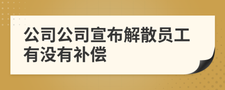 公司公司宣布解散员工有没有补偿