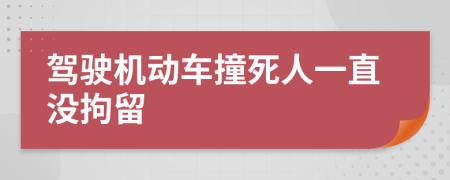 驾驶机动车撞死人一直没拘留