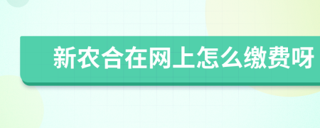 新农合在网上怎么缴费呀