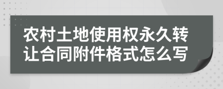 农村土地使用权永久转让合同附件格式怎么写