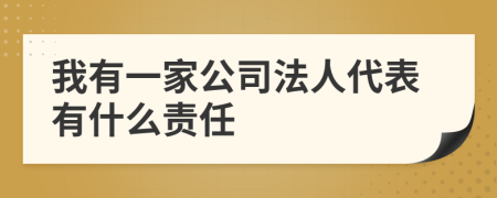 我有一家公司法人代表有什么责任