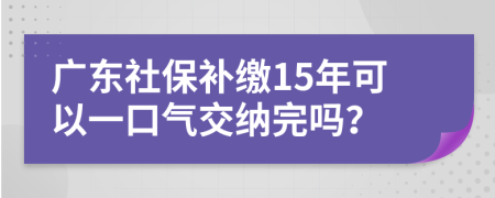 广东社保补缴15年可以一口气交纳完吗？